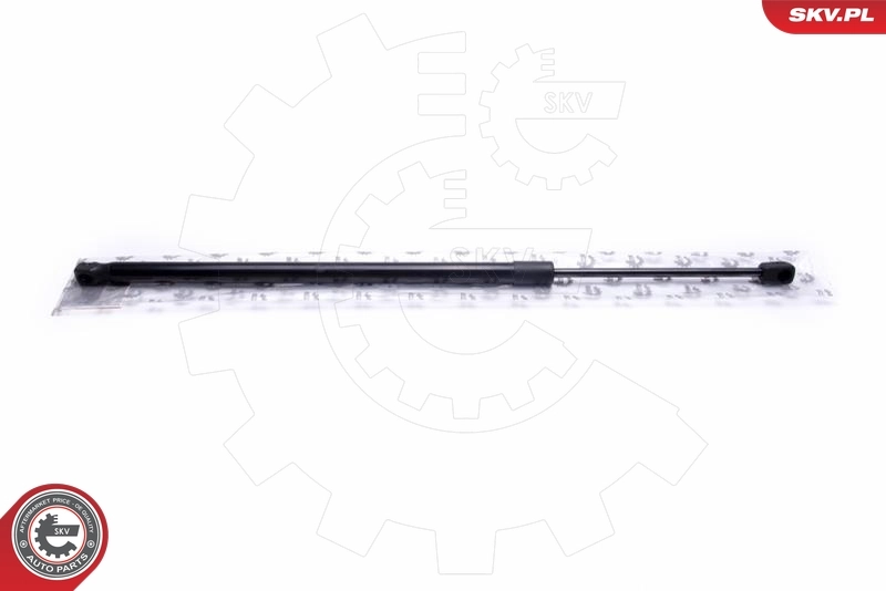 Gas Spring, boot/cargo area